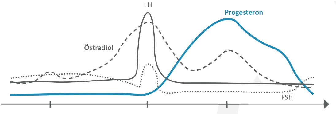 Digitale Datenanalyse